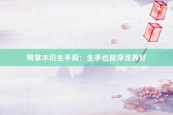 鸭掌木衍生手段：生手也能浮浅养好